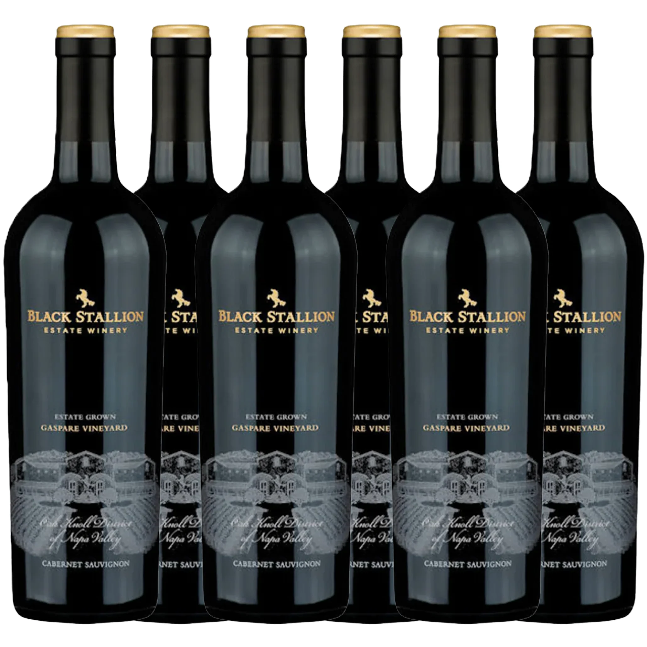 Black Stallion Gaspare Vineyard Cabernet Sauvignon 2020 6x750ml Bundle