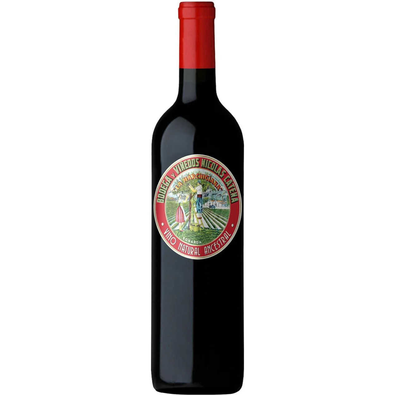 Catena La Marchigiana Bonarda 2022