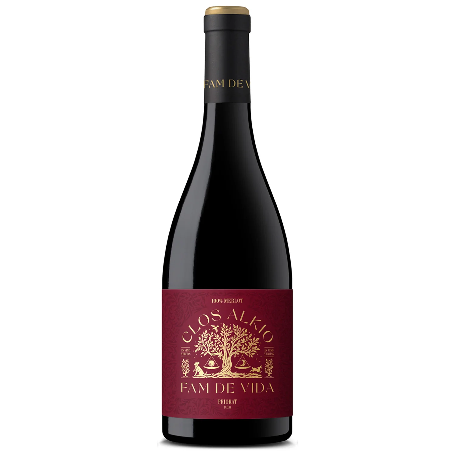 Clos Alkio Fam de Vida Merlot