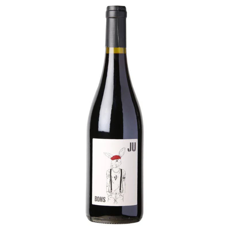 Domaine De La Gravierette Bons Ju Red 2022 750ml