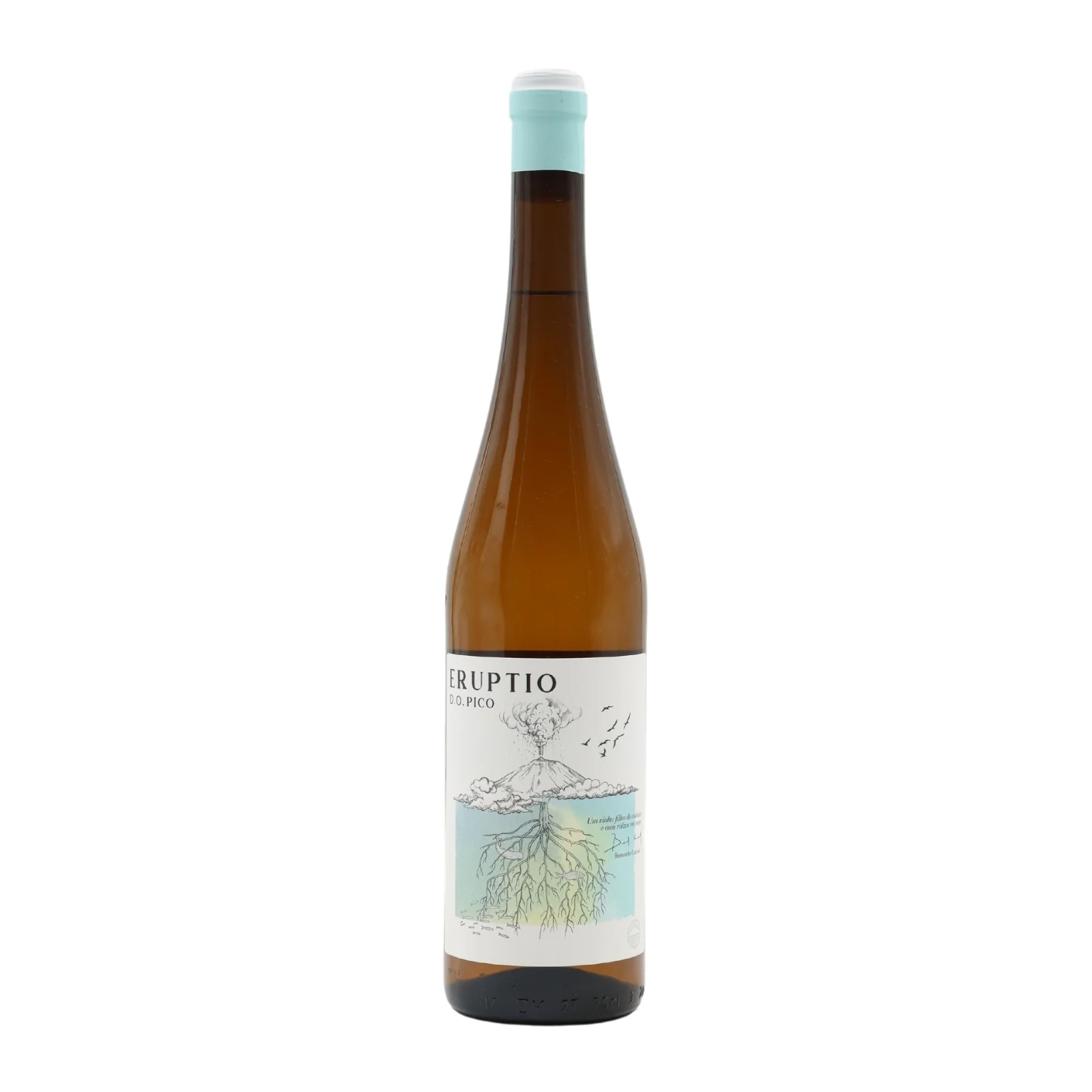 Eruptio White