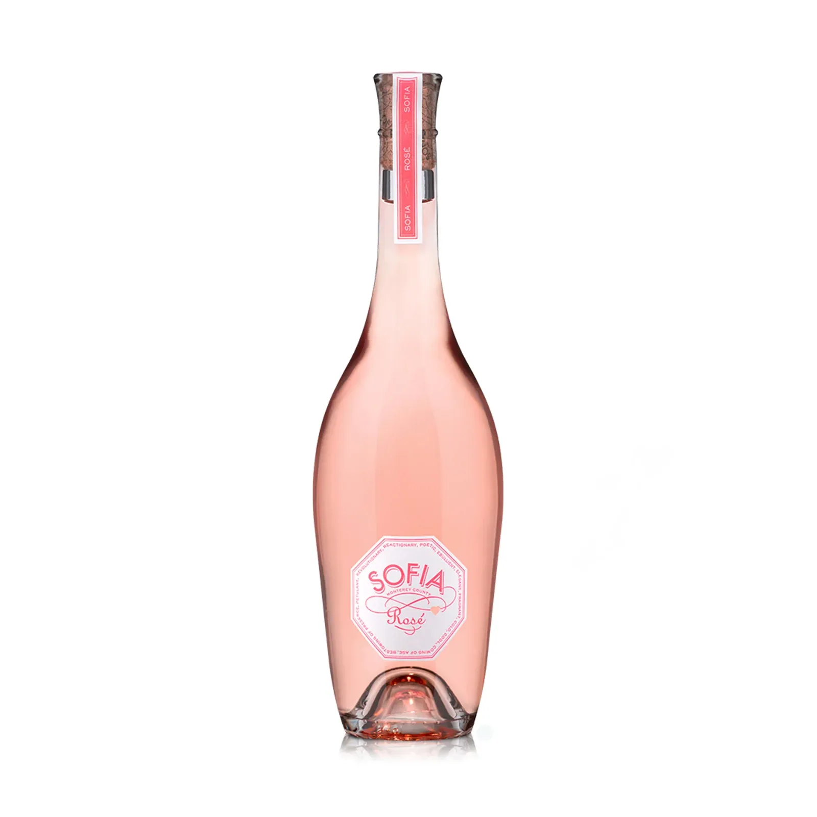 Francis Coppola Sofia Rose - Image 2