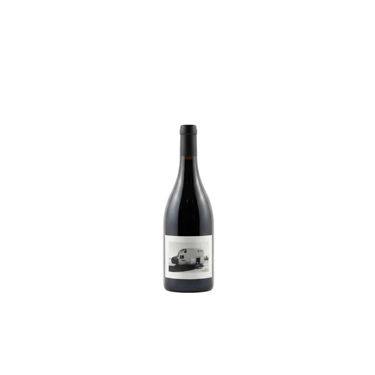 Levo Please Fasten Seatbelt Syrah 2021